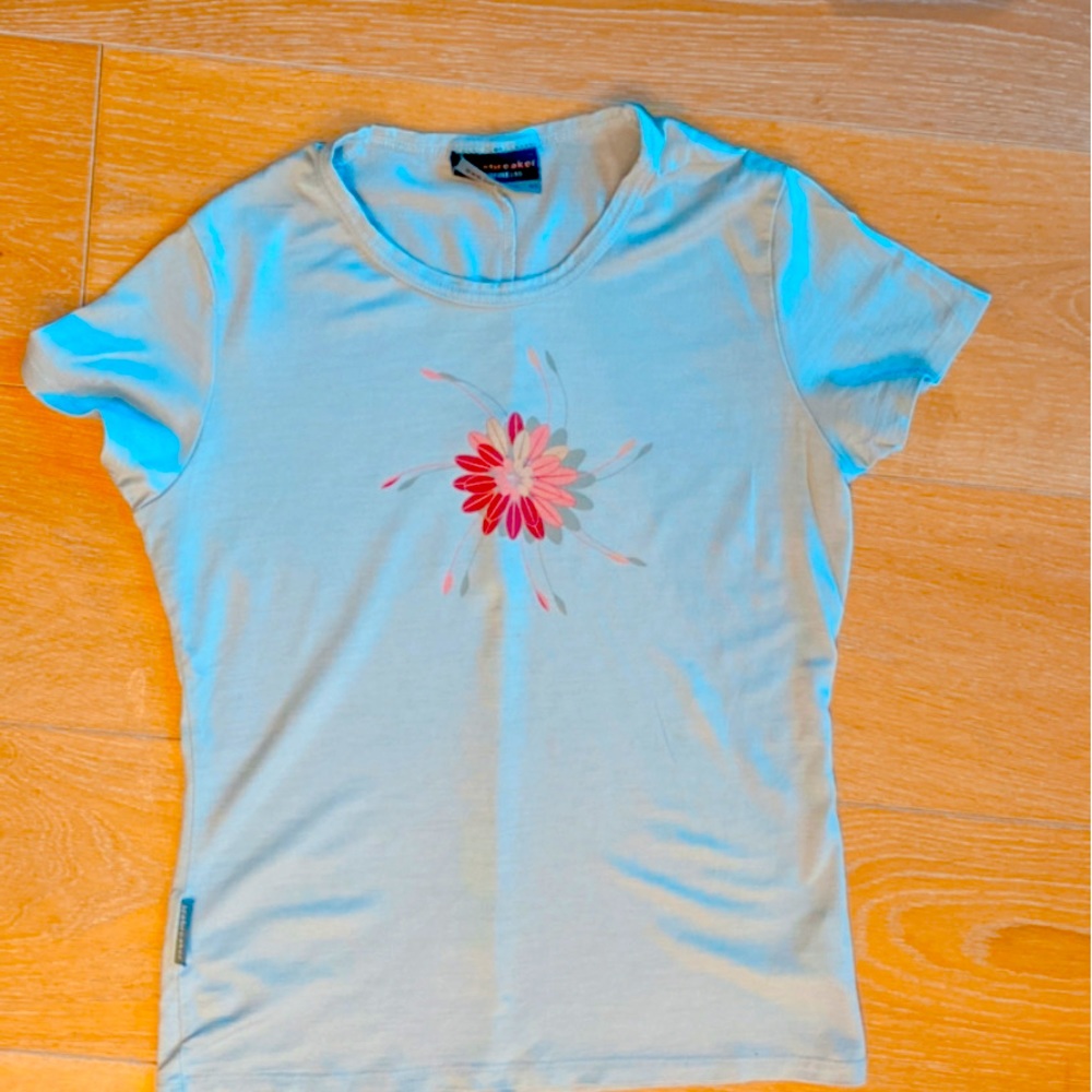 womens icebreaker tshirt!